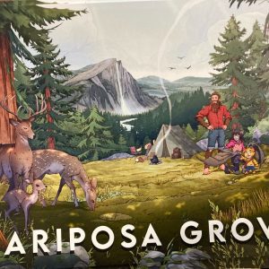 Mariposa Grove - Postcard
